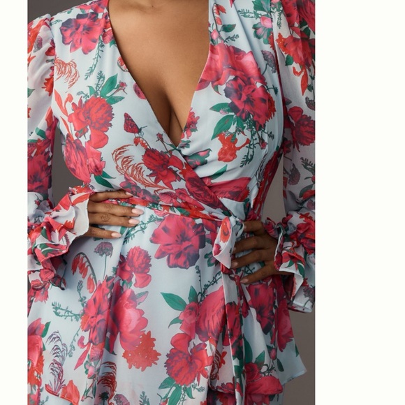 NWT Anthropologie Hutch Bardo Long-Sleeve V-Neck True Wrap Maxi Dress 1X - Picture 5 of 16